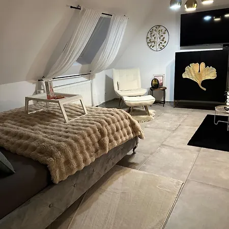 Moderne Schicke Dachgeschosswohnung 15 Min Bis Duesseldorf