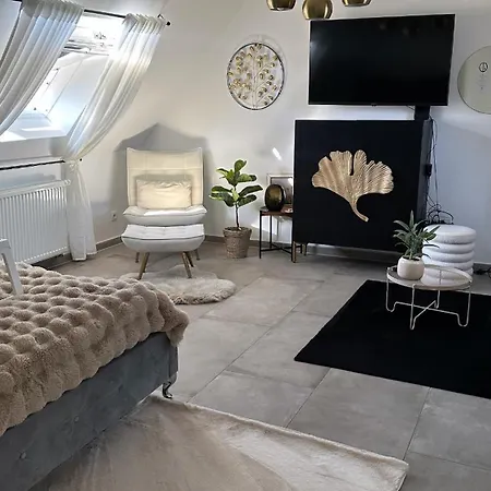 Moderne Schicke Dachgeschosswohnung 15 Min Bis Duesseldorf Duisburg