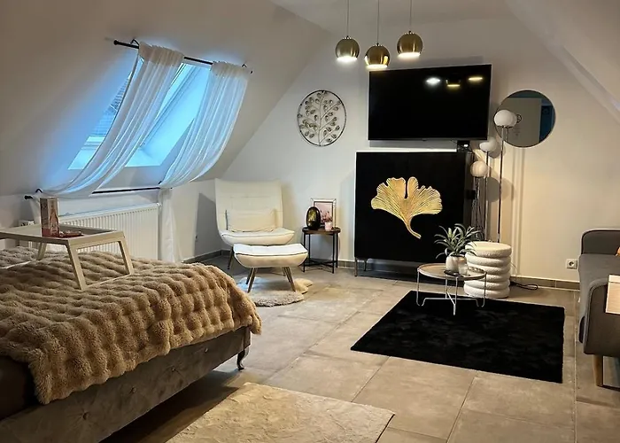 Moderne Schicke Dachgeschosswohnung 15 Min Bis Duesseldorf Apartment Duisburg